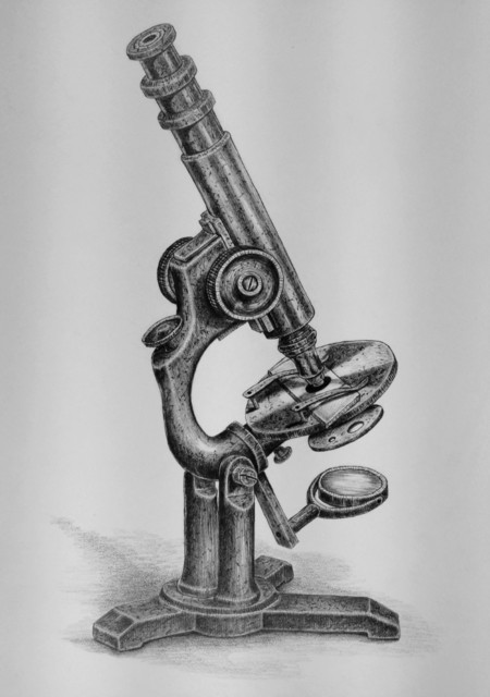 Kathleen Powers, ‘Antique Microscope’, 2017, The Secret Gallery