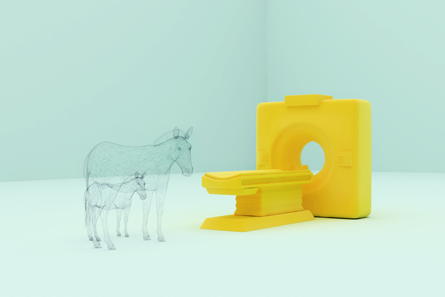 Talks — Farid Rasulov (2014)