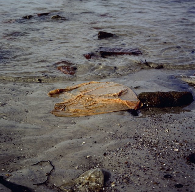 Simryn Gill, ‘Channel ’, 2014, Photography, Ilfochrome print, Jhaveri Contemporary