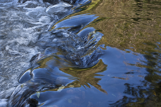 Salvatore Lopes, ‘Dreisam River, Freiburg,Germany’, 2010, Art Upclose