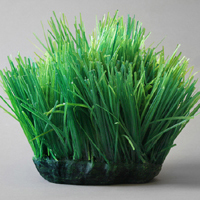 Carson Fox, ‘Grassy Spot’, Stanek Gallery