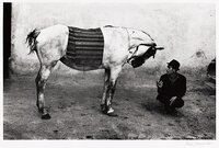 Man with horse, Romania, 1980