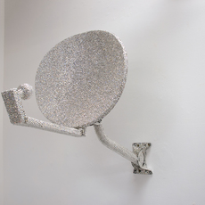Wendy Wischer