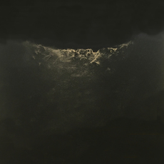 Anne Judell