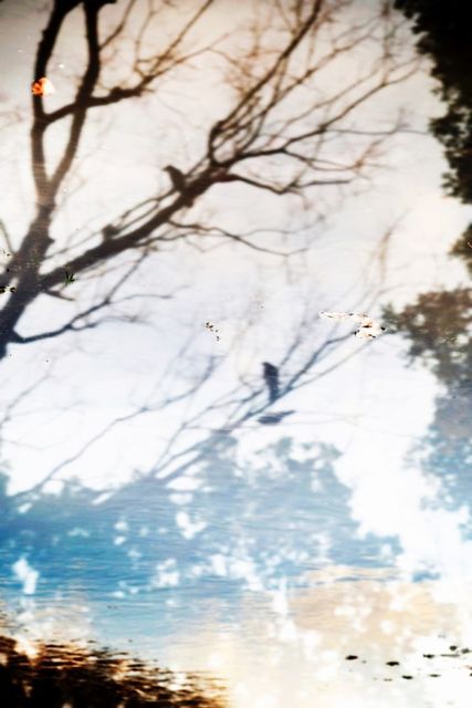 Yoshinori Mizutani, ‘YUSURIKA 029’, 2015, Photography, Archival pigment print on Hahnemuhle Fine Art Baryta Paper, CHRISTOPHE GUYE GALERIE