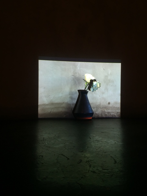 Jorge Rosano Gamboa, ‘Faustine’, 2019, Installation, Proyection, vase, flower and cyanotype, Kino Tonala