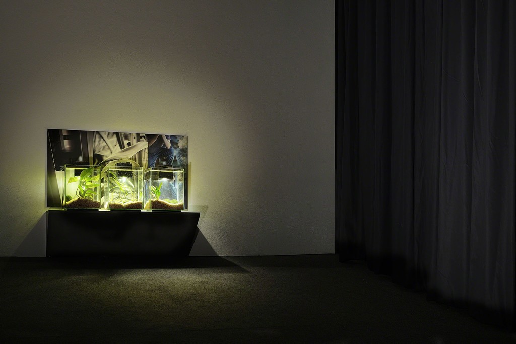 Tris Vonna-Michell, 'Register',installation view at T293 Rome, 25 October – 3 December 2016. ©Roberto Apa. Tris Vonna-Michell, 'Register',installation view at T293 Rome, 25 October – 3 December 2016. ©Roberto Apa.