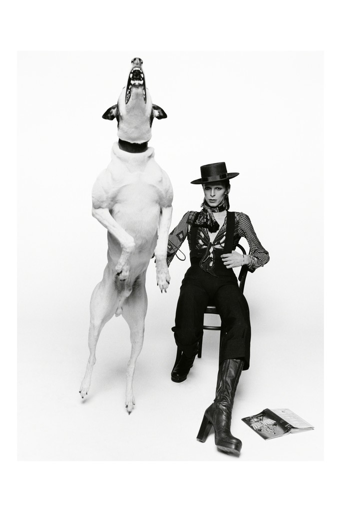 Terry O'Neill, 'David Bowie, Diamond  Dogs, London,' 1974, Gallery 270