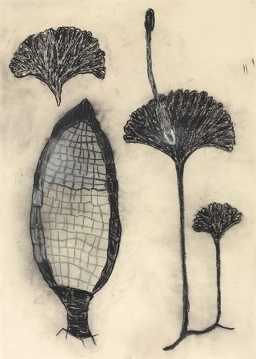 Terry Winters, ‘Untitled’, Christie's