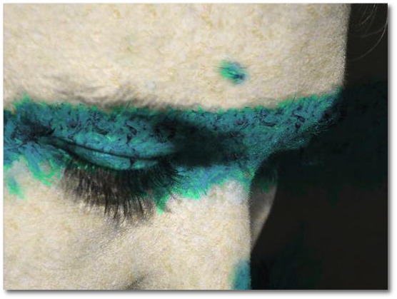 Daniel Gastaud, ‘Julia's Eye Turquoise ’, 2016, Eden Fine Art