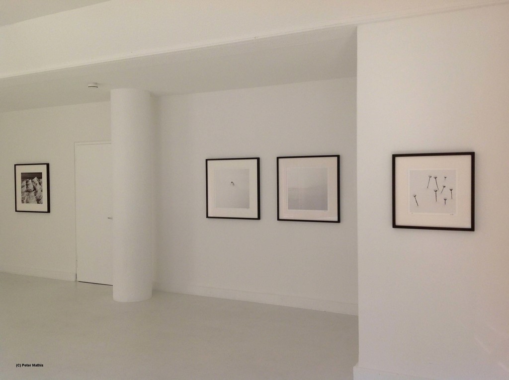 Installation Shot Alpine Passagen @ Petra Gut Contemporary Zurich, Image: Peter Mathis Installation Shot Alpine Passagen @ Petra Gut Contemporary Zurich, Image: Peter Mathis