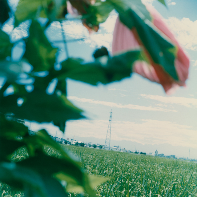 Mikiko Hara, ‘Untitled’, 1998, MIYAKO YOSHINAGA