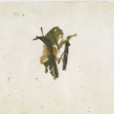 Miklos Bokor