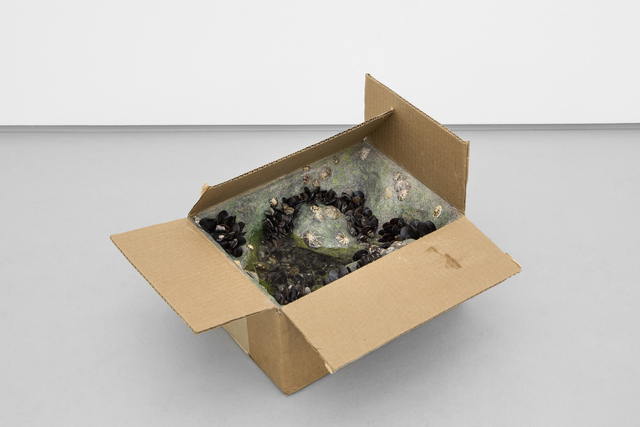 André Romão, ‘Box’, 2018, Vera Cortês