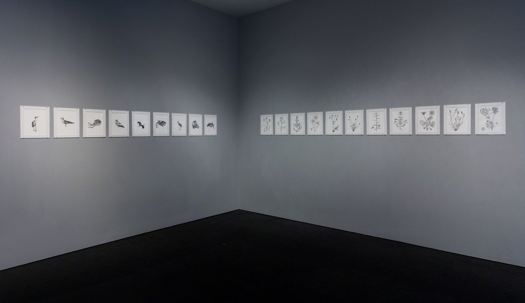 Installation view, Hammer Museum, Los Angeles, September 17, 2016–January 8, 2017. Photo: Brian Forrest
Installation view, Hammer Museum, Los Angeles, September 17, 2016–January 8, 2017. Photo: Brian Forrest