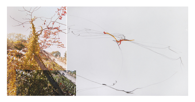 Sandi Haber Fifield, ‘Untitled (LF16#109)’, 2016, Robert Klein Gallery