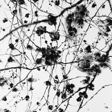 Keun Woo Lee