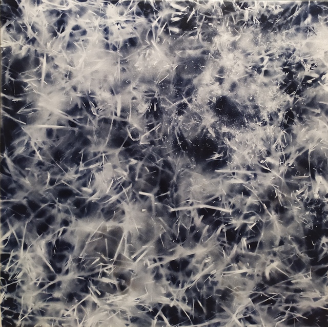 Lindsey Nobel, ‘Untitled ’, 2019, Painting, Acrylic on canvas, Arushi Arts