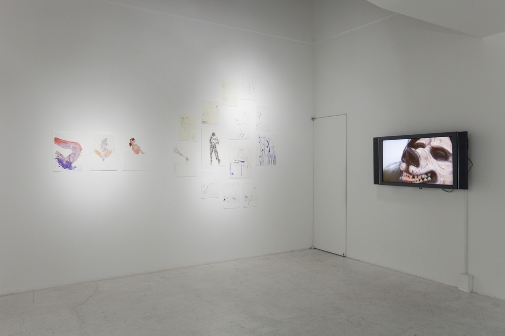 "Identity IX" installation view at nca | nichido contemporary art, 2013 photo by Kei Okano "Identity IX" installation view at nca | nichido contemporary art, 2013 photo by Kei Okano