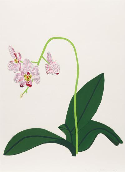 Jonas Wood - Three Clippings: one plate