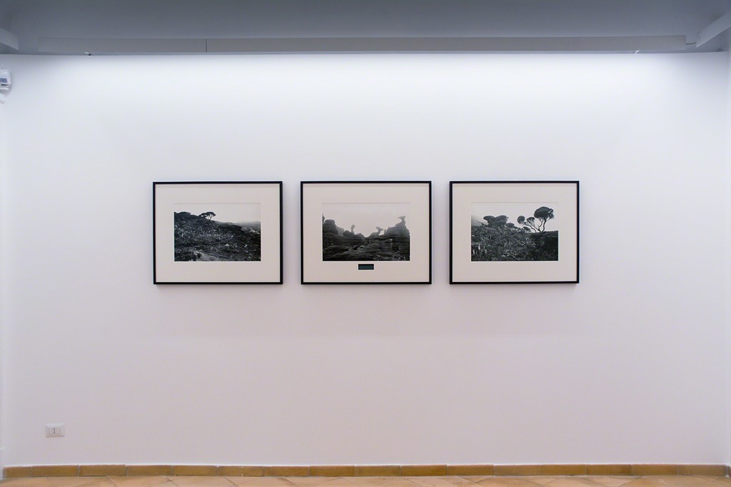 Lothar Baumgarten, installation view Lothar Baumgarten, installation view