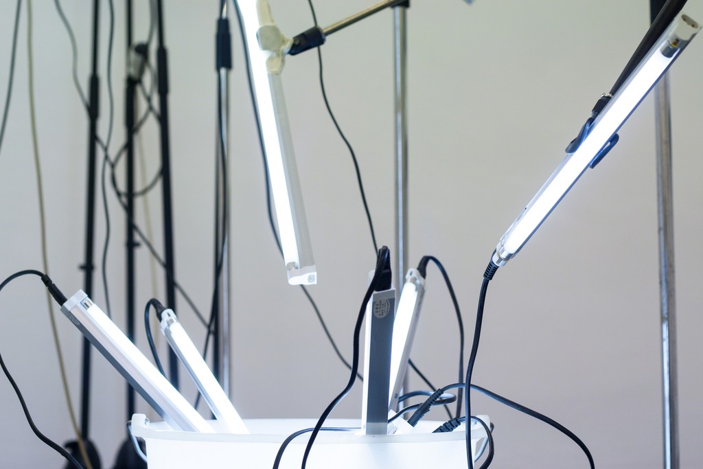 Albert Mayr, installation view, MARTINETZ, Cologne, 2015, Foto: Albert Mayr Albert Mayr, installation view, MARTINETZ, Cologne, 2015, Foto: Albert Mayr