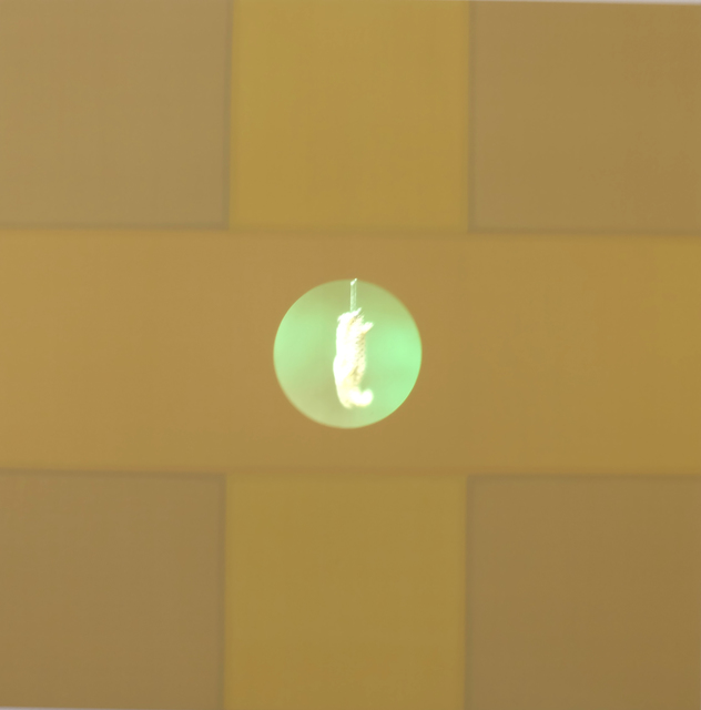 Curtis Anderson, ‘Ascension’, 2017, Video/Film/Animation, Seide auf Holzpanel, Video Rück-projektionssystem, Dauer ca. 4 min, Galerie Brigitte Schenk