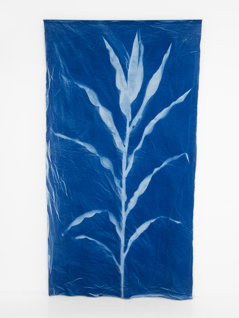 Christy Gast, ‘Ohio Farm Pond’, 2014, Photography, Cyanotype on canvas, stainless steel, Nina Johnson