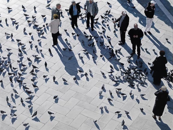 Rosalyn Bodycomb, ‘Piazza San Marco’, 2008, Painting, Oil on linen, Nohra Haime Gallery