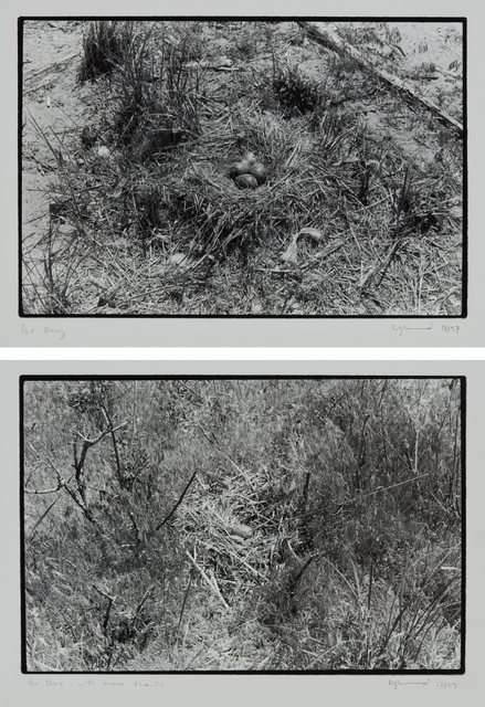 Zoe Leonard, ‘Two works: (i) Nest no. 1; (ii) Nest’, (i-ii) 1997, Phillips