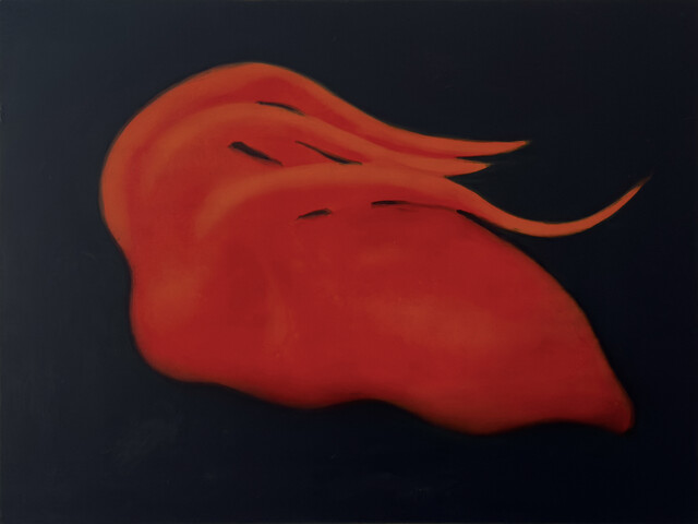 Metamorphosis 3