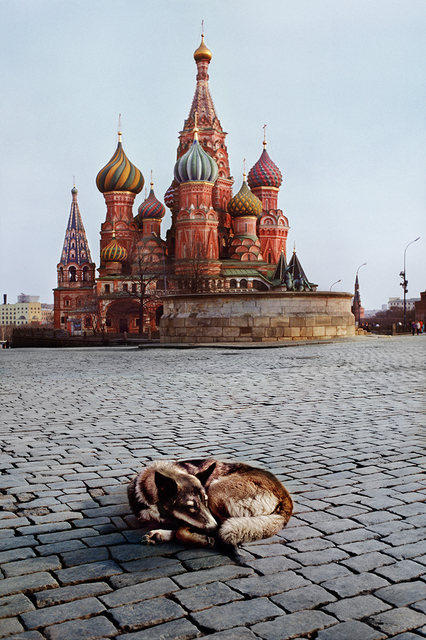 Steve McCurry, ‘Dogs sleeps near St. Basil’s Cathedral, Moscow, Russia’, 1993, Photography, Archival Pigment Print, Staley-Wise Gallery