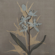 Ai Xie 谢爱