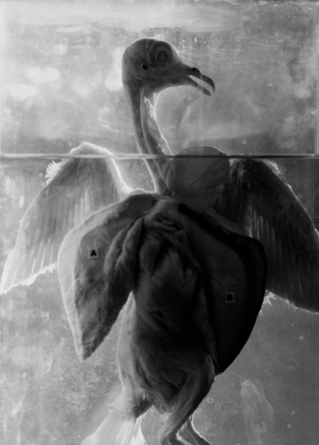 Koo Bohnchang, ‘Breath 10’, 1995, Photography, Three Shadows +3 Gallery