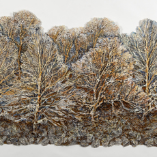Lesley Richmond