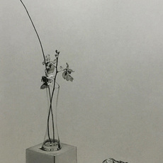 Justin Sui Hsien Lim