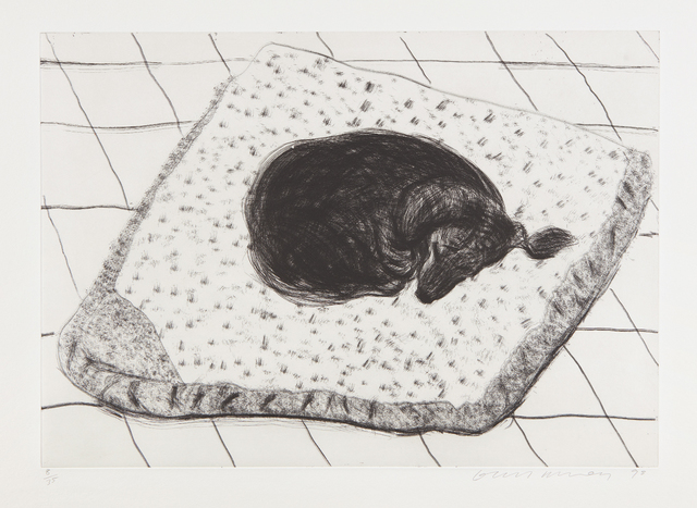 David Hockney, ‘Dog Etching No. 15, from Dog Wall’, 1998, Phillips