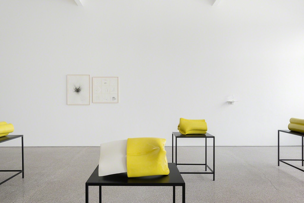 Installation view, Joe Zorrilla, 2017, Galerie Greta Meert Installation view, Joe Zorrilla, 2017, Galerie Greta Meert