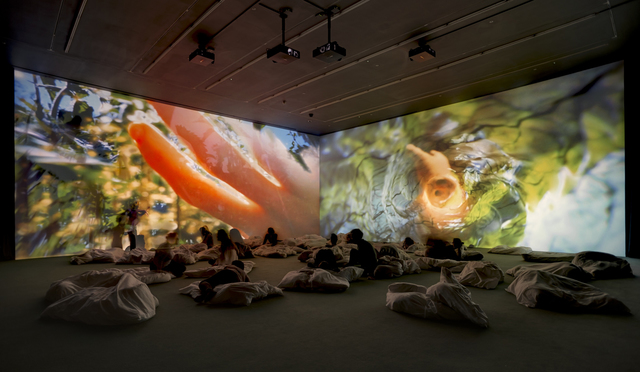 Pipilotti Rist, ‘Worry Will Vanish Horizon’, 2014, kestnergesellschaft
