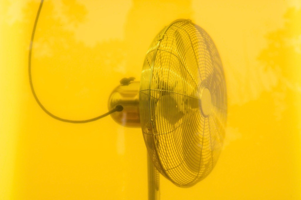 Installation View at West Bund Waterfront
'Atmosphere' - 2016 - Aquarium, Vegetable oil, Electric fan - 183 x 82 x 82 cm Installation View at West Bund Waterfront
'Atmosphere' - 2016 - Aquarium, Vegetable oil, Electric fan - 183 x 82 x 82 cm