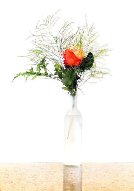 Gale Myers, ‘Orange Rose in Cloudy Vase’, 2020, Photography, Photo printed on archival velvet paper, Springfield Art Association