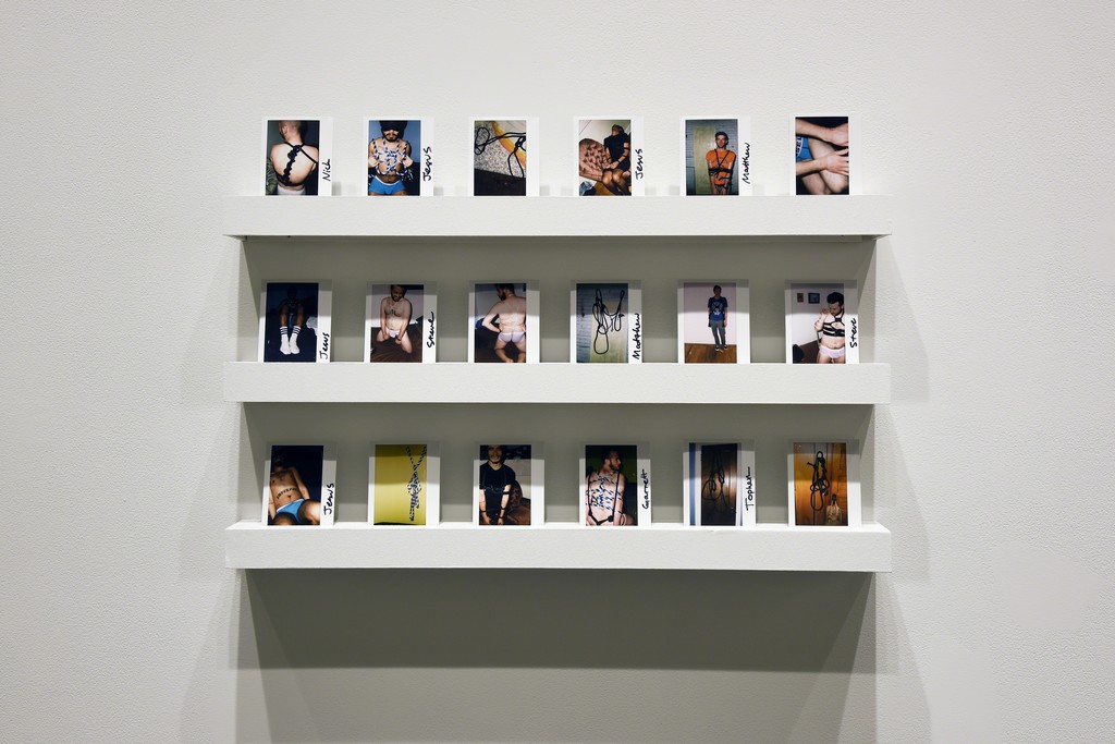 Bring Your Own Body: Transgender Between Archives and Aesthetics. Cantor Fitzgerald Gallery 2016. Photo: Lisa Boughter Bring Your Own Body: Transgender Between Archives and Aesthetics. Cantor Fitzgerald Gallery 2016. Photo: Lisa Boughter