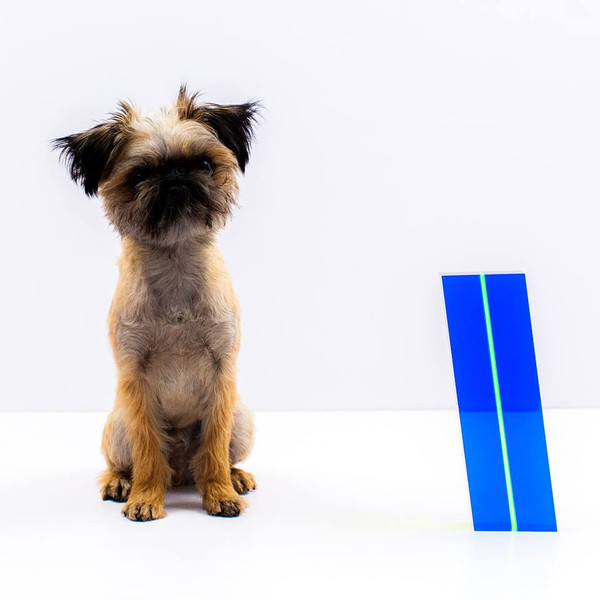 Vasa Mihich "BLUE KRYPTONITE", 2014 Vasa Mihich "BLUE KRYPTONITE", 2014