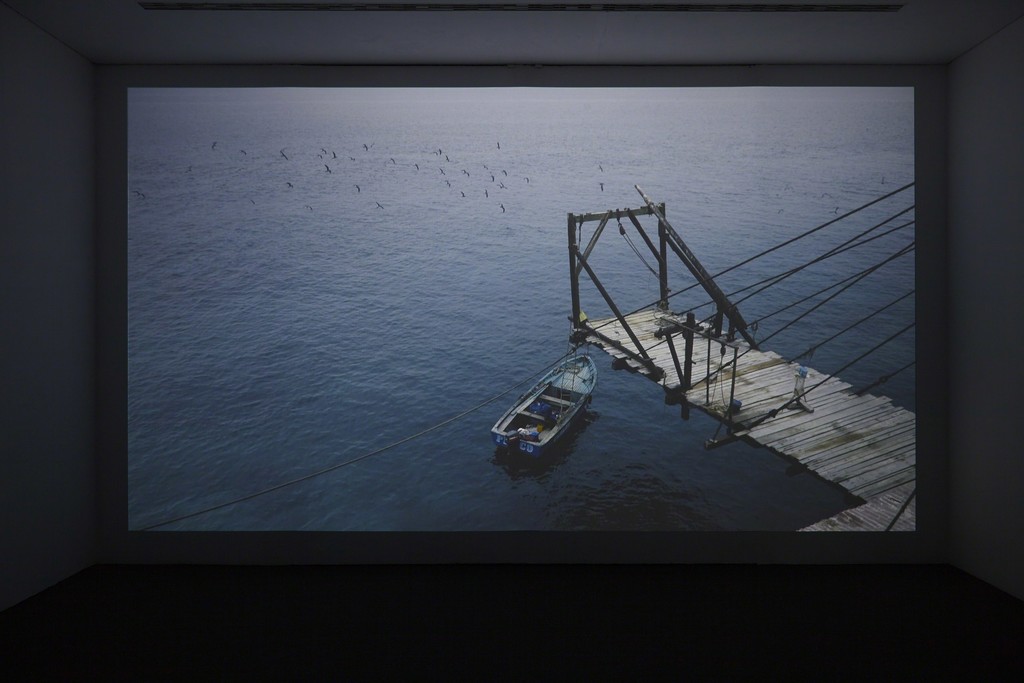 Dinh Q Lê, The Colony. Installation, Ikon Gallery, 2016. Image courtesy Ikon Gallery. Photo Stuart Whipps Dinh Q Lê, The Colony. Installation, Ikon Gallery, 2016. Image courtesy Ikon Gallery. Photo Stuart Whipps