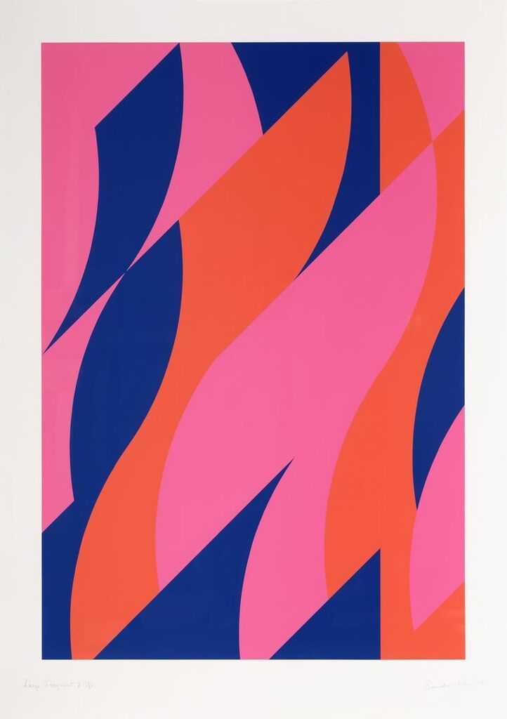 Bridget Riley - Large Fragment 2 (Not in Schubert)