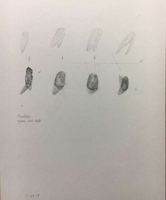 Terri Thornton, ‘Spent Shot Study, (Suite of five drawings)’, 2019, Drawing, Collage or other Work on Paper, Pencil on paper, Barry Whistler Gallery