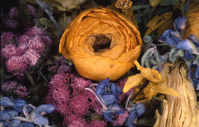 Nobuyoshi Araki, ‘Flower Rondeau’, 1997-2019, Photography, Fuji Crystal print, Michael Hoppen Gallery