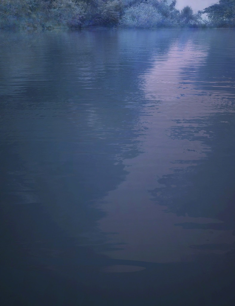 Monets Garden, 2015, c-print on diasec face, ed.5+2AP, 167,5x133,5 cm Monets Garden, 2015, c-print on diasec face, ed.5+2AP, 167,5x133,5 cm