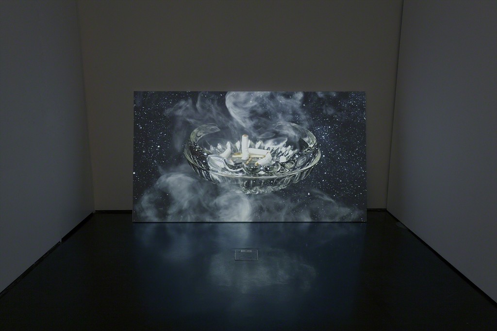 Cuckoo features Polska's most recent works, including a video, My Little Planet, shown at the New Museum's Screen Series in 2016. Photo: M. Gardulski Cuckoo features Polska's most recent works, including a video, My Little Planet, shown at the New Museum's Screen Series in 2016. Photo: M. Gardulski
