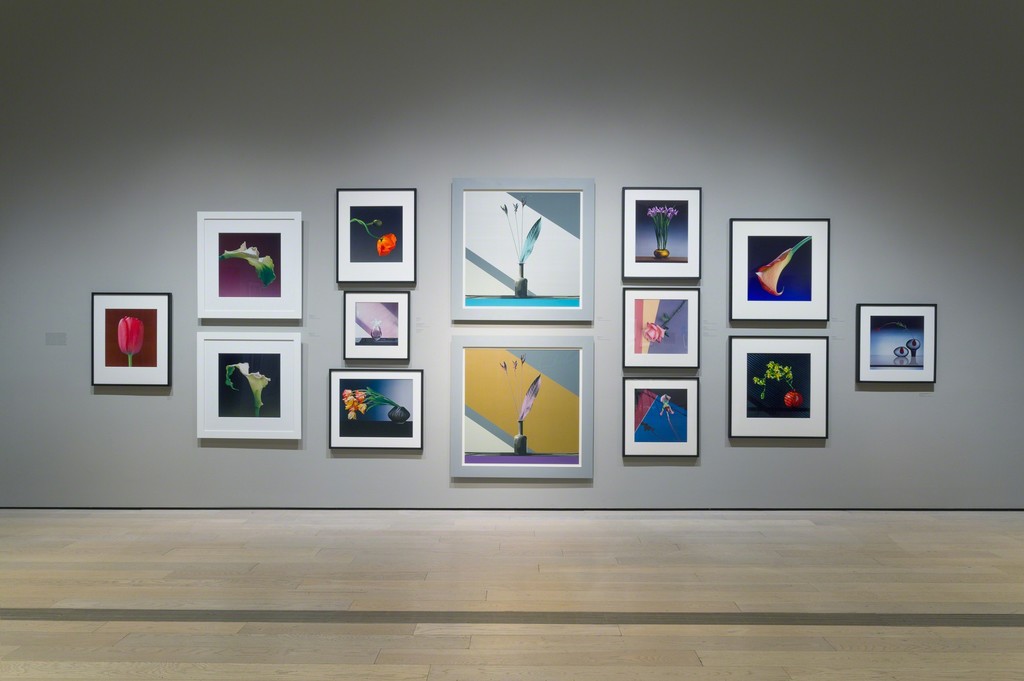 Installation photograph of "Robert Mapplethorpe: The Perfect Medium" March 20, 2016–July 31, 2016. Photo: © 2016 Museum Associates/LACMA. Artwork © Robert Mapplethorpe Foundation Installation photograph of "Robert Mapplethorpe: The Perfect Medium" March 20, 2016–July 31, 2016. Photo: © 2016 Museum Associates/LACMA. Artwork © Robert Mapplethorpe Foundation